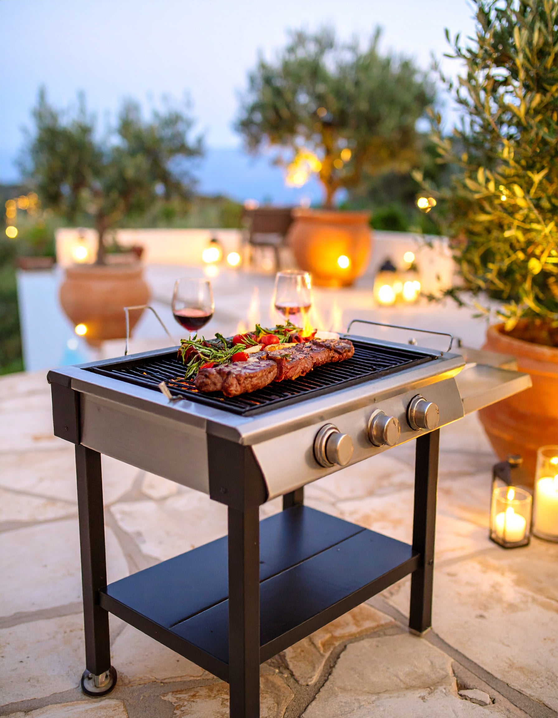 Ignis Pro Flat-Top Outdoor Griddle