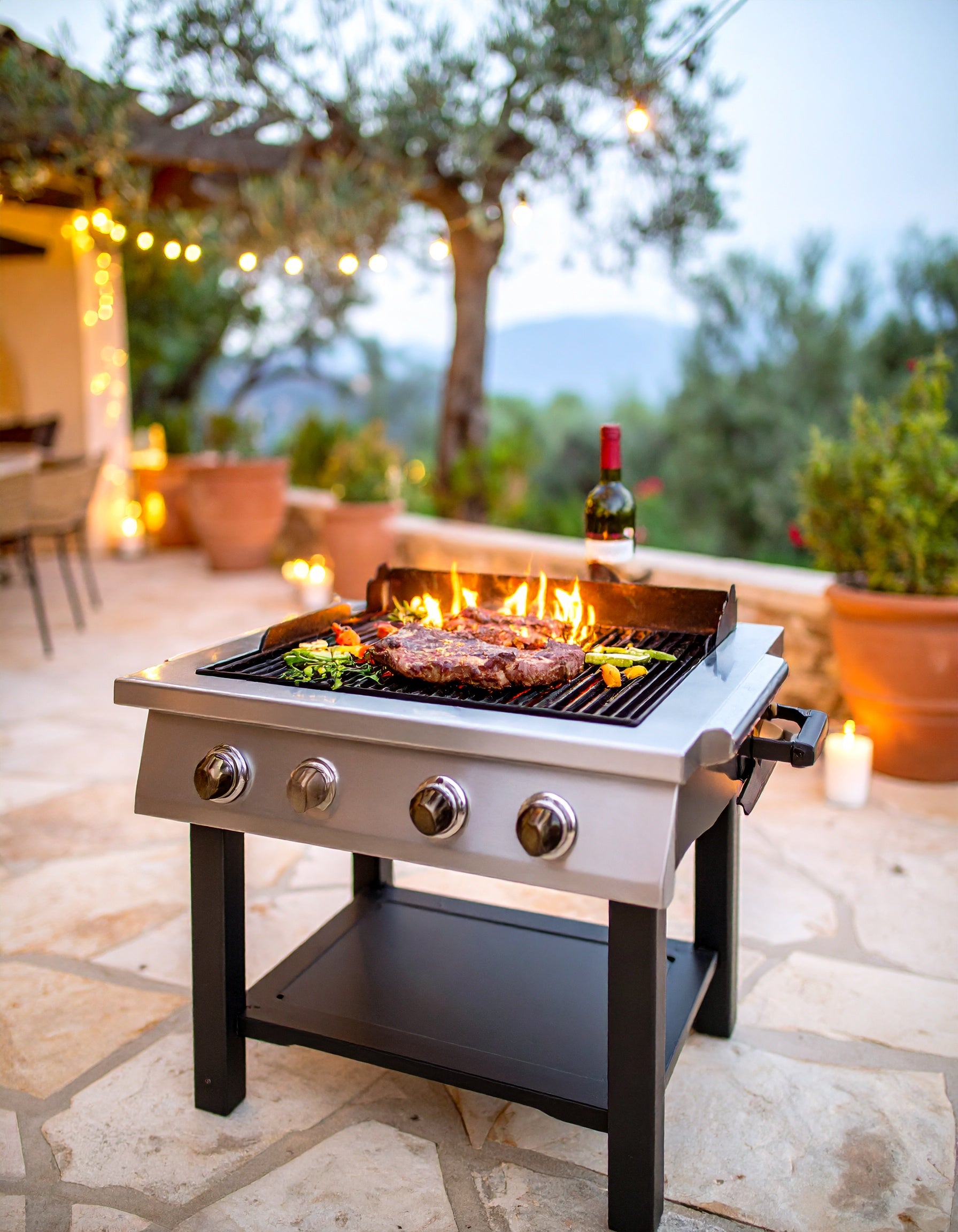 Ignis Pro Flat-Top Outdoor Griddle